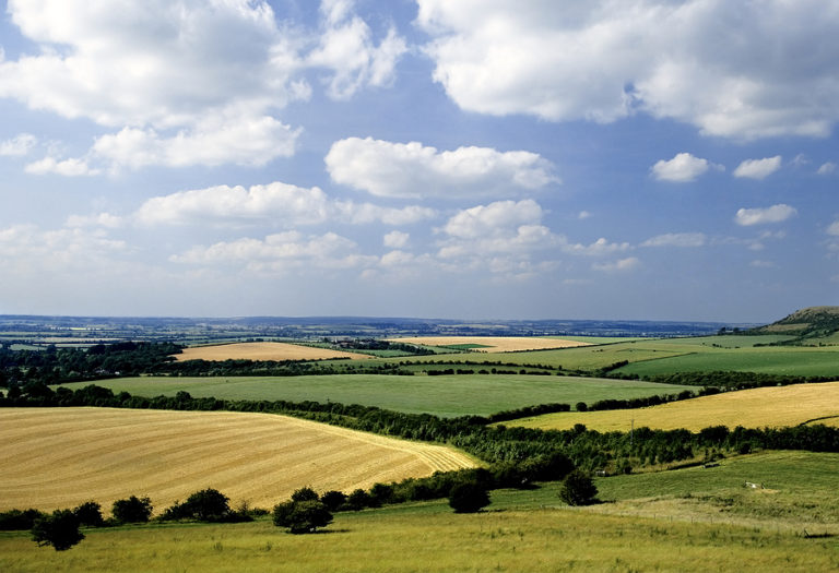 Leighton Buzzard Green Initiatives Guide