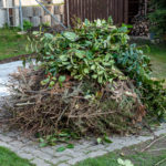 pile of green garden waste