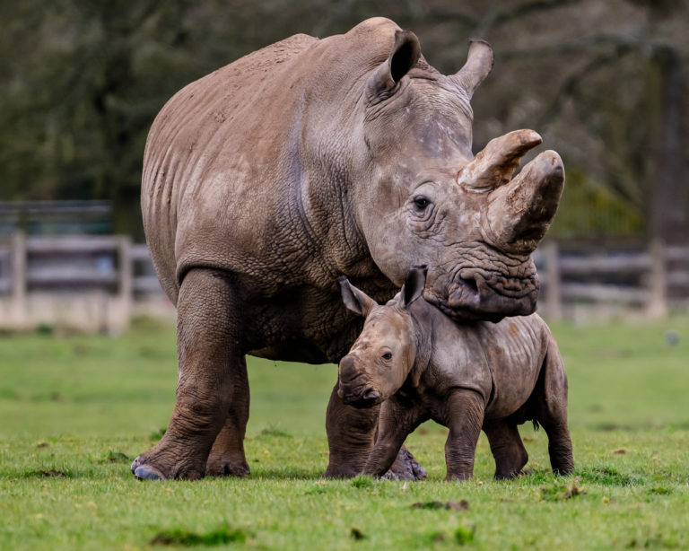 Family Days Out in Bedfordshire