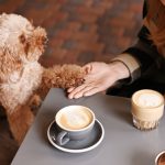 Dog with coffee cup feature for dog friendly leighton buzzard image