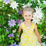 bee local magazine garden lifestyle for Leighton Buzzard