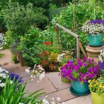 Leighton Buzzard open gardens