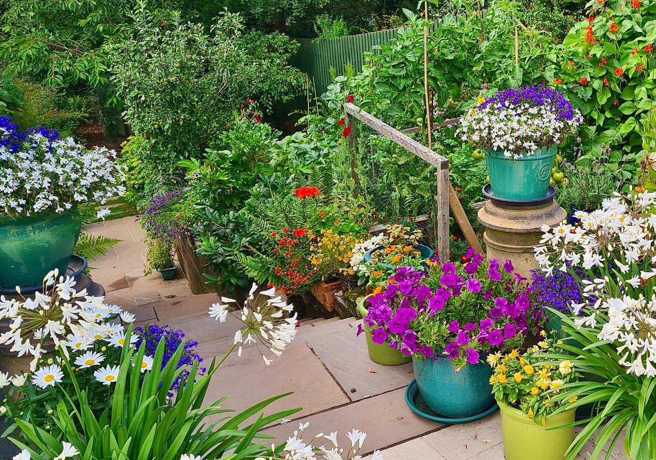 Leighton Buzzard open gardens
