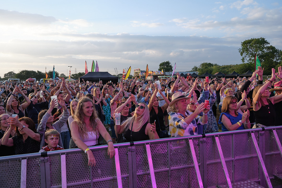 Buzzstock Crowd