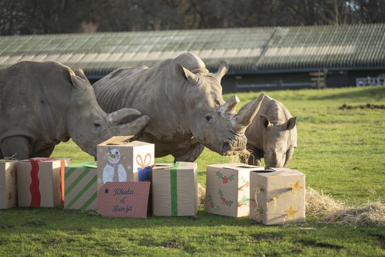 EMBRACE the wonder of wildlife this winter, with a festive day out for the whole family to enjoy at Whipsnade Zoo.  