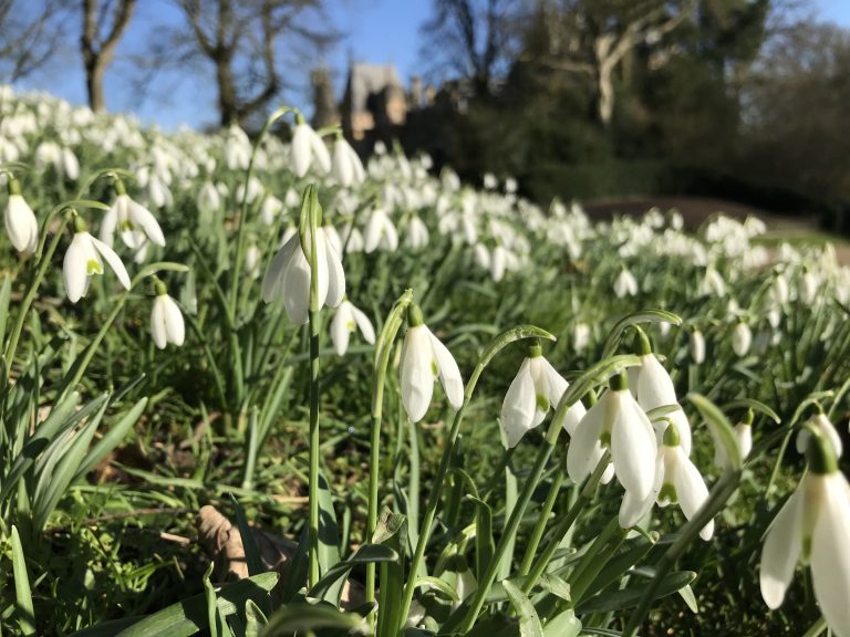 Opening Up For Spring – Gardens to Visit