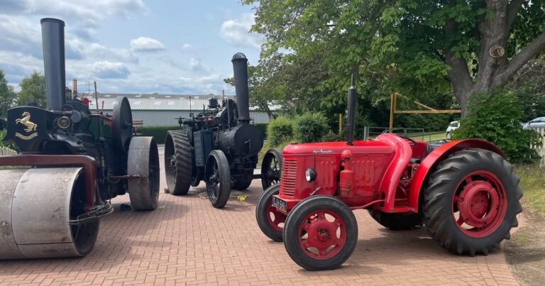 What’s On in June in the Leighton Buzzard area