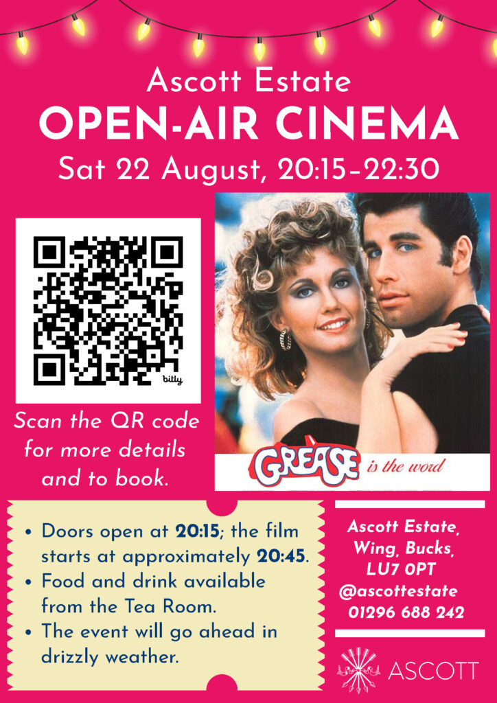 Open air cinema featuring grease movie image