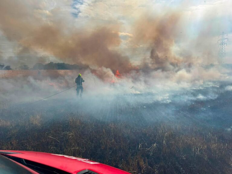 Bedfordshire residents urged to avoid bonfires as wildfire risk remains very high