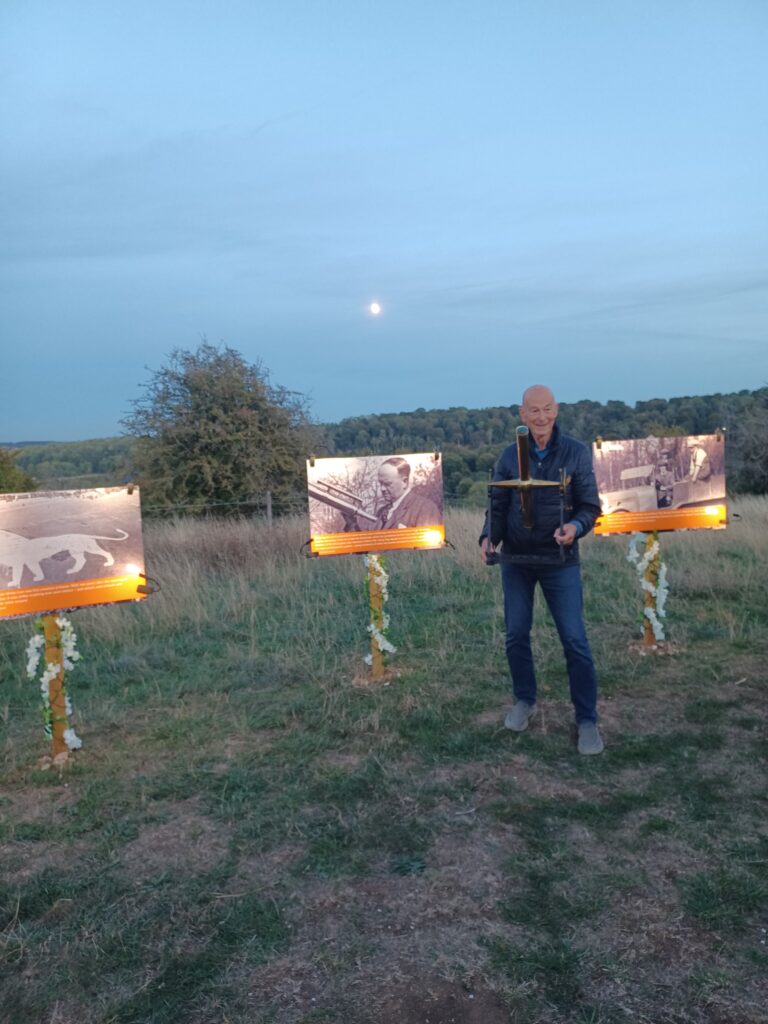 Lighting Up the Lion